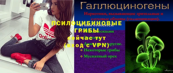 шишки Кукмор